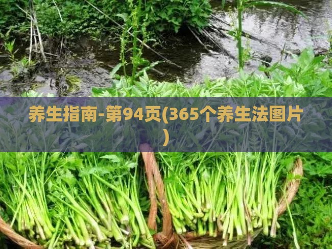养生指南-第94页(365个养生法图片)