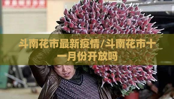 斗南花市最新疫情/斗南花市十一月份开放吗