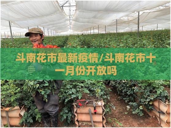 斗南花市最新疫情/斗南花市十一月份开放吗
