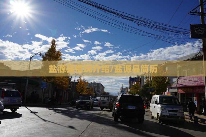 盐源县情况介绍/盐源县简历