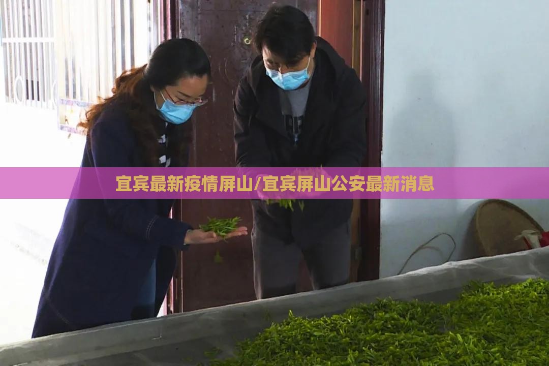 宜宾最新疫情屏山/宜宾屏山公安最新消息 宜宾最新疫情屏山/宜宾屏山公安最新消息