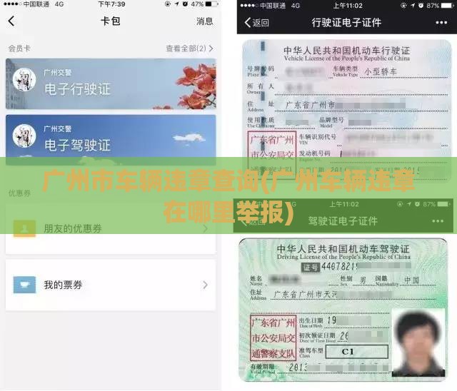 广州市车辆违章查询(广州车辆违章在哪里举报)