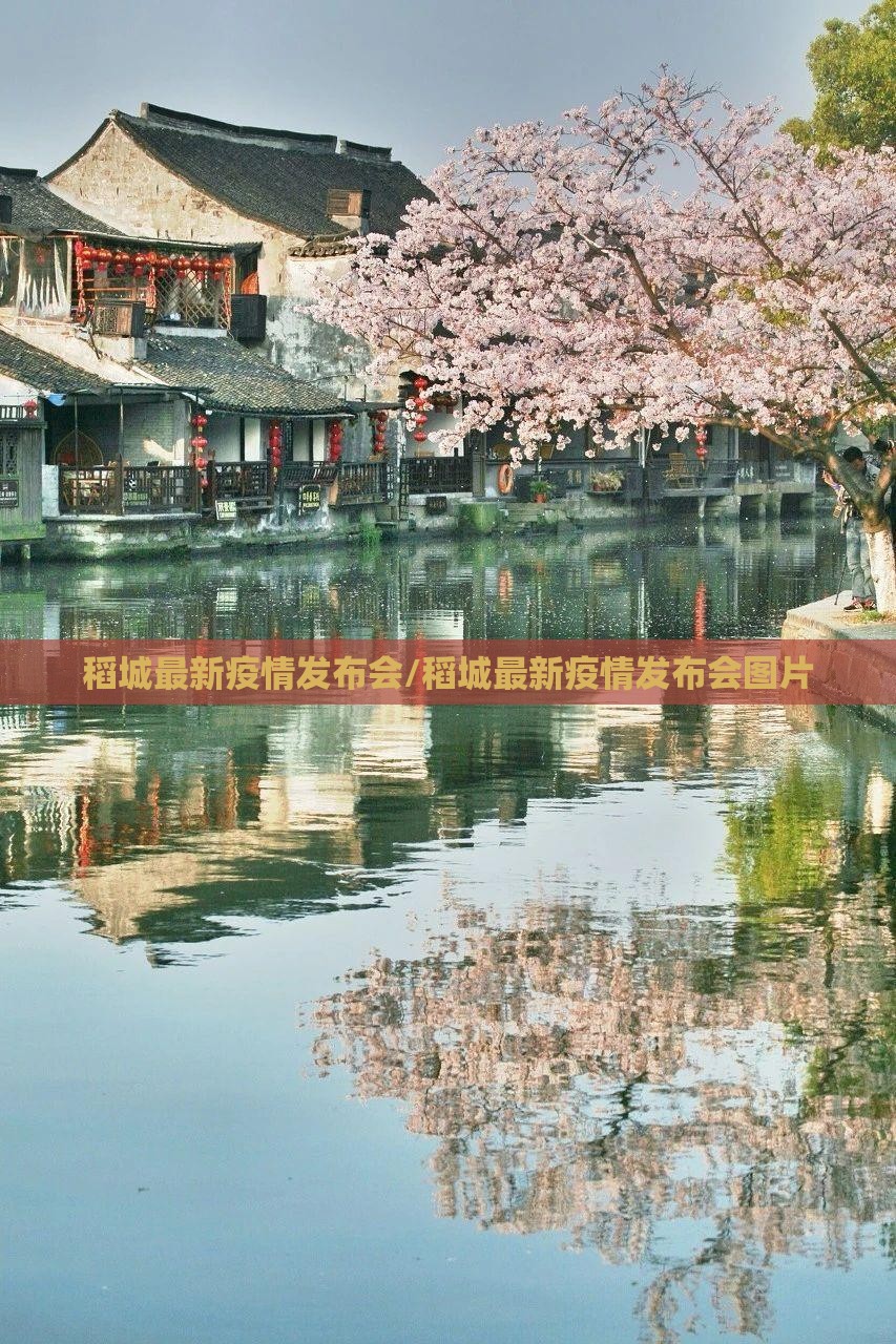 稻城最新疫情发布会/稻城最新疫情发布会图片