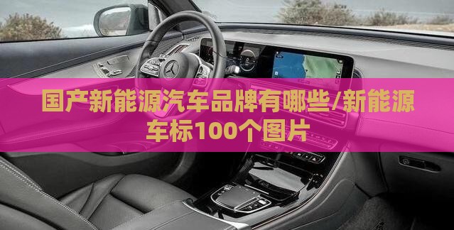 国产新能源汽车品牌有哪些/新能源车标100个图片