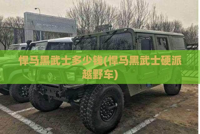 悍马黑武士多少钱(悍马黑武士硬派越野车)