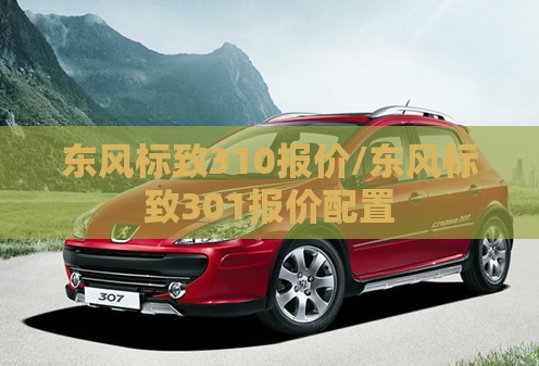 东风标致310报价/东风标致301报价配置