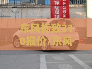 东风标致310报价/东风标致301报价配置