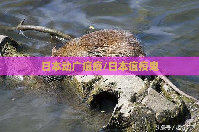 日本动广瘟疫/日本瘟疫鬼