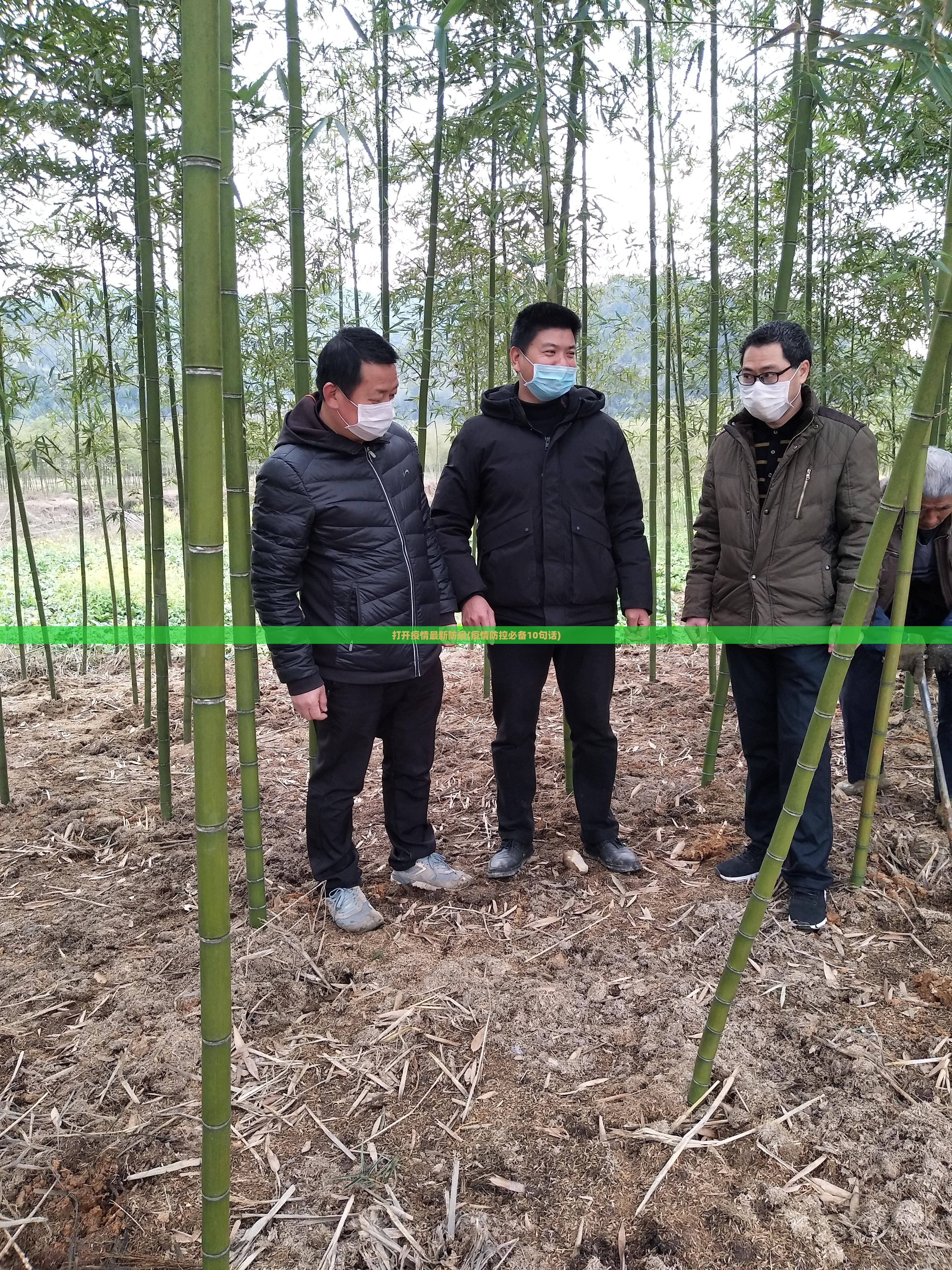 打开疫情最新防疫(疫情防控必备10句话)