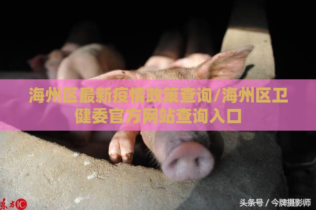 海州区最新疫情政策查询/海州区卫健委官方网站查询入口