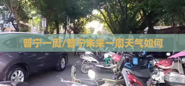 普宁一周/普宁未来一周天气如何