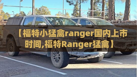 【福特小猛禽ranger国内上市时间,福特Ranger猛禽】 【福特小猛禽ranger国内上市时间,福特Ranger猛禽】