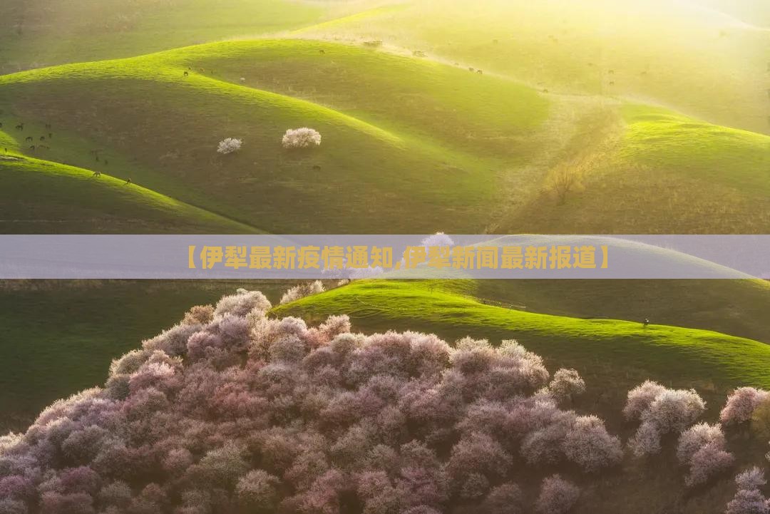 【伊犁最新疫情通知,伊犁新闻最新报道】