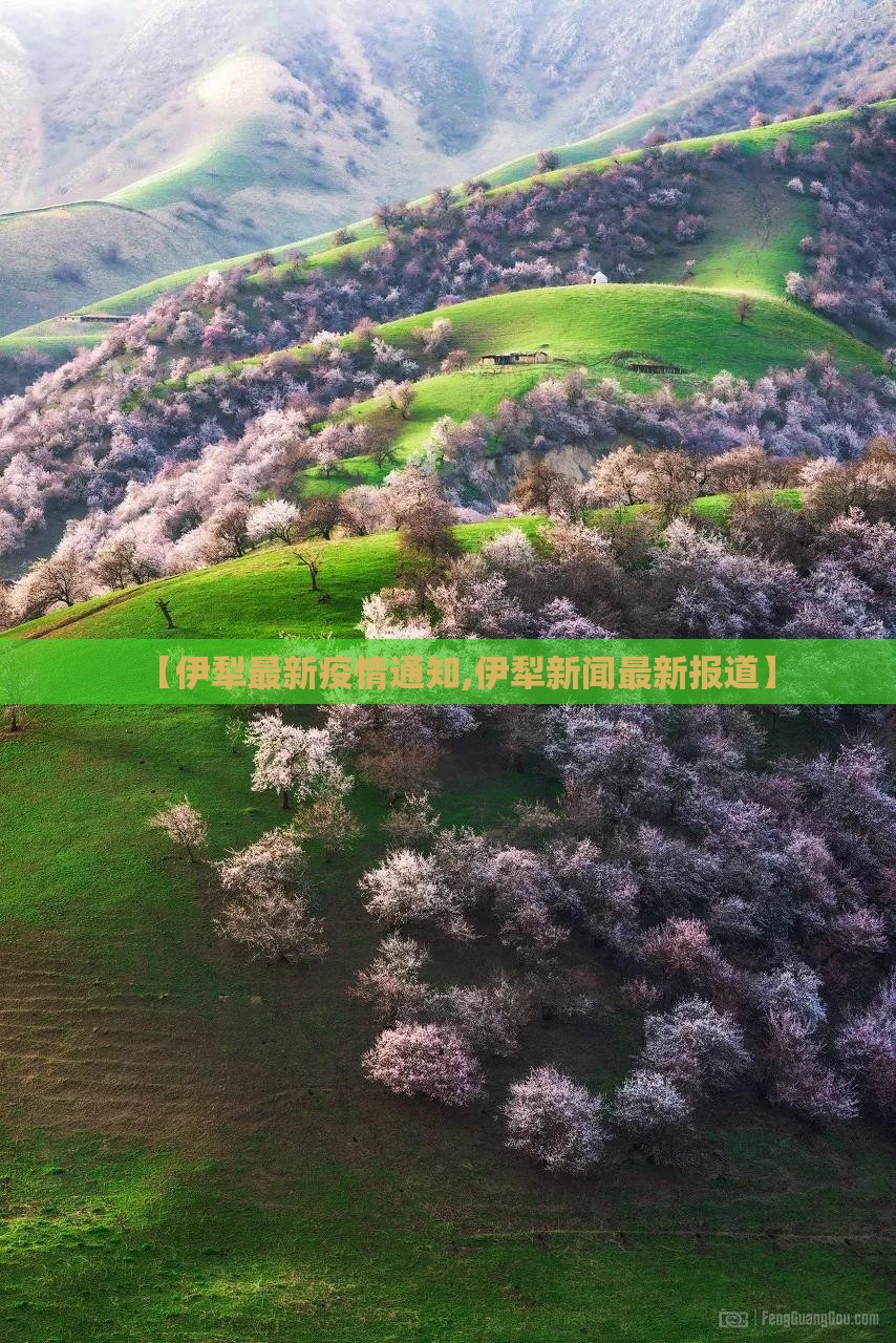 【伊犁最新疫情通知,伊犁新闻最新报道】 【伊犁最新疫情通知,伊犁新闻最新报道】