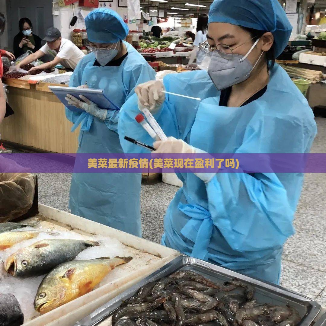美菜最新疫情(美菜现在盈利了吗)